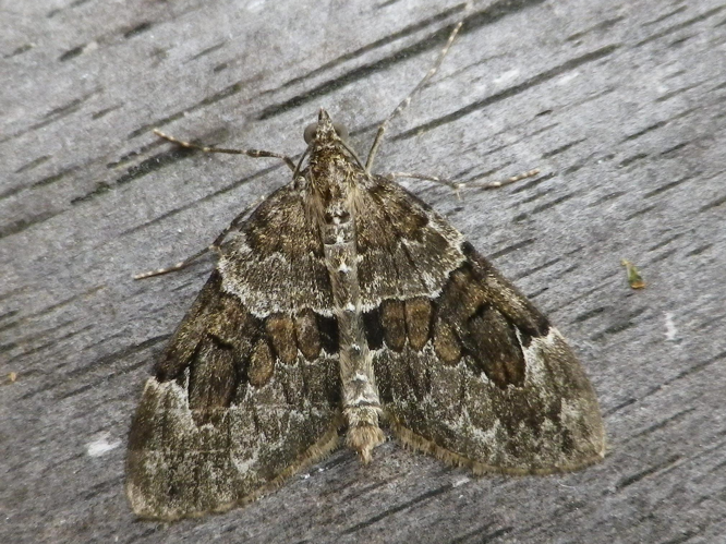 Thera britannica &copy; HALLART Guénael